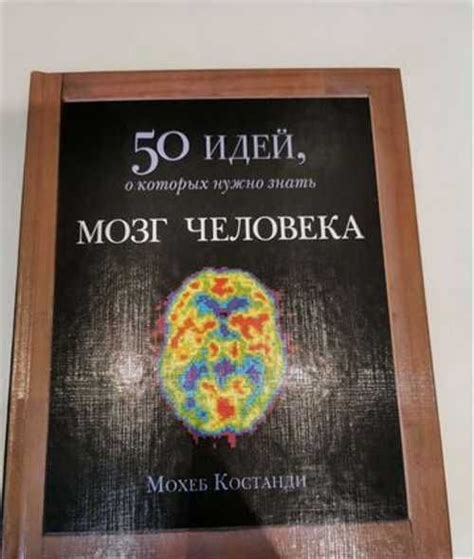 Влияние дурных идей на мозг: всё, что нужно знать