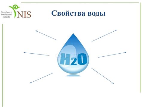 Влияние загрязненной воды на исследование значения снов и их интерпретацию