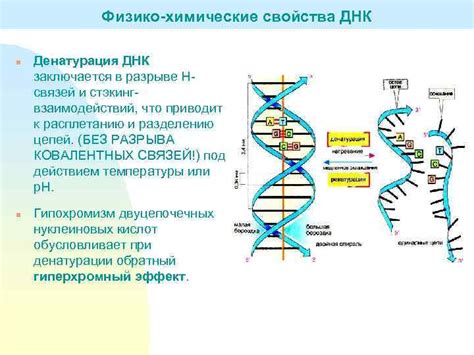 Влияние изменения ДНК на эмоциональную устойчивость