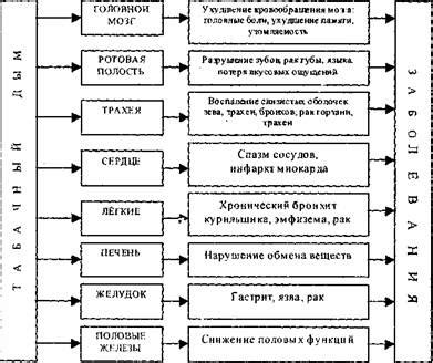 Влияние инвазионной стадии на организм человека