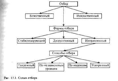 Влияние искусственного отбора на виды