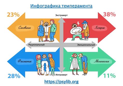 Влияние конопатости на характер и темперамент