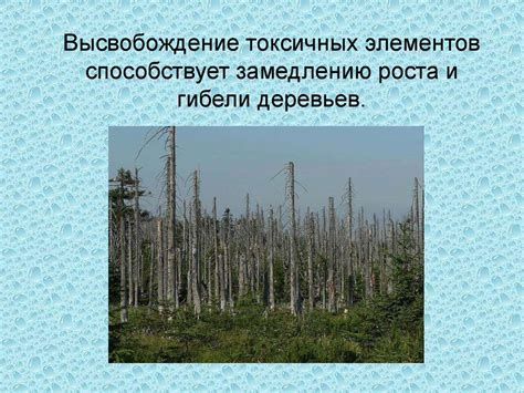 Влияние локальных дождей на почву и растительный покров