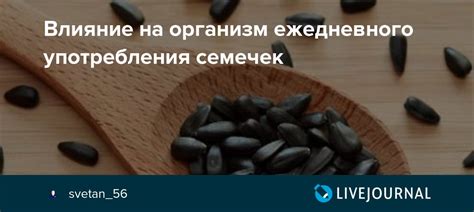 Влияние лузгания семечек на организм