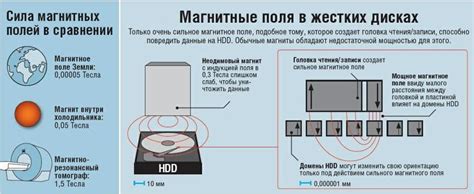 Влияние магнита на качество басов и частот