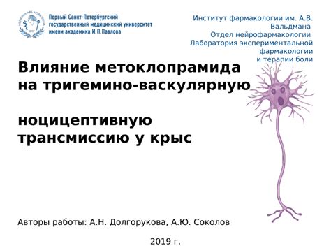 Влияние метоклопрамида на организм