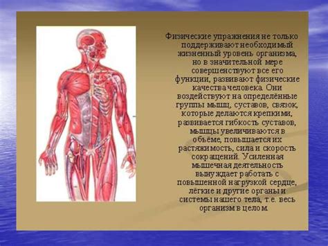 Влияние мышечного тонуса на двигательные функции