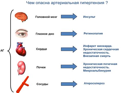 Влияние мягкой гипертензии на организм