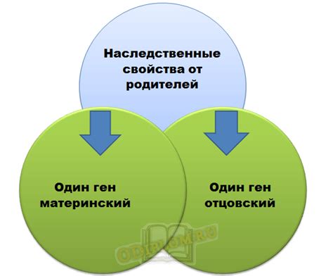 Влияние на здоровье и общее состояние пациента