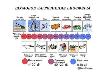 Влияние на здоровье людей и животных