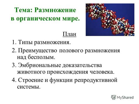 Влияние на развитие репродуктивной системы