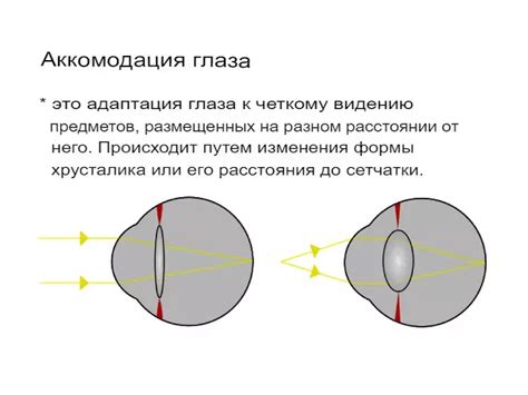 Влияние на фокусировку и аккомодацию глаза