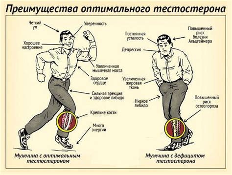 Влияние недостатка тестостерона на организм