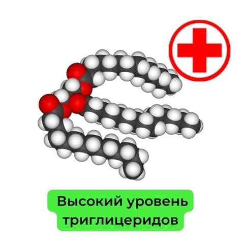 Влияние низких уровней триглицеридов на здоровье женщин