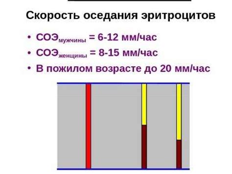 Влияние низкого индекса корковой ритмики на организм