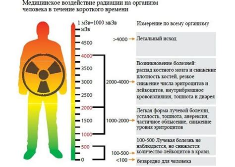 Влияние облучения радиацией на организм человека