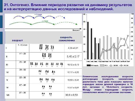 Влияние окраски пса на интерпретацию сновидения