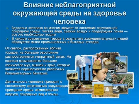 Влияние окружающей среды на нюхательные рефлексы