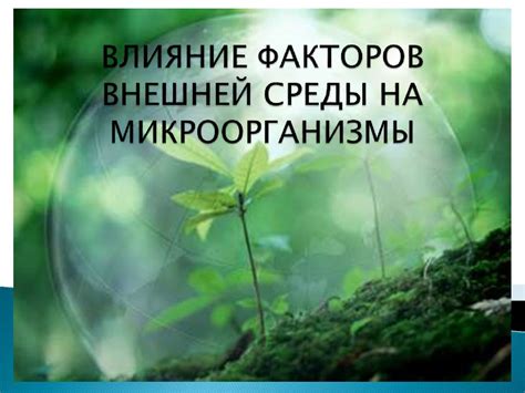 Влияние окружающей среды на равновесие