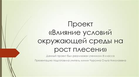 Влияние окружающей среды на рост и развитие узлов