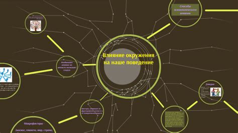 Влияние окружения на поведение и ценности