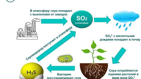 Влияние оксида на цвет и стойкость краски