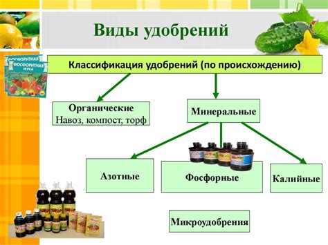 Влияние органической формы на рост и развитие растений