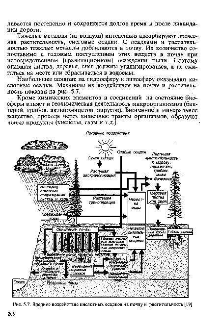 Влияние осадков на почву