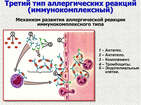 Влияние пирогенных реакций на организм