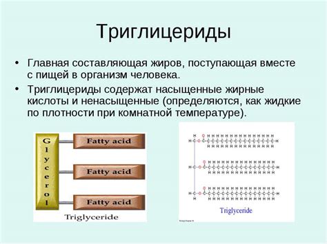 Влияние питания на уровень триглицеридов