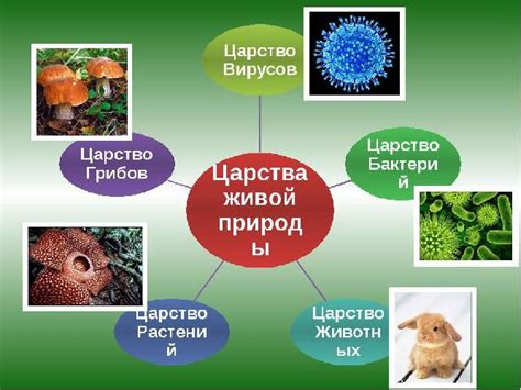 Влияние пленения на развитие царства: исторический анализ