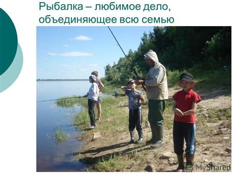 Влияние погодных условий на привлечение голубей