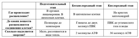 Влияние подготовительного этапа на эффективность энергопередачи