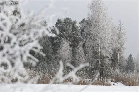 Влияние посева ветра на предстоящую бурю