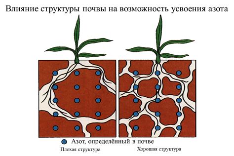 Влияние почвы на появление наростов