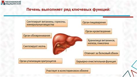 Влияние препаратов на метаболизм: основные факторы