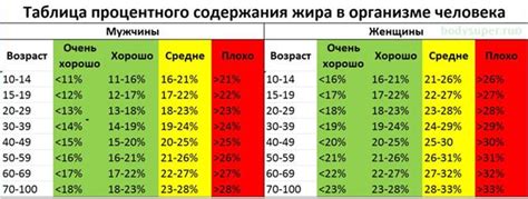 Влияние процента жира на здоровье организма