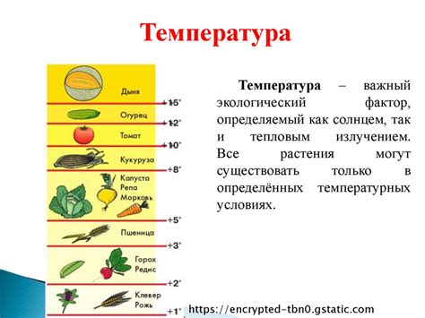 Влияние психологических факторов на возникновение высокой температуры в сновидениях