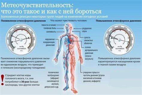 Влияние разных рук на давление: факторы и важность