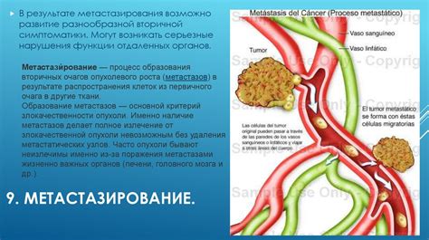 Влияние распада опухоли на организм