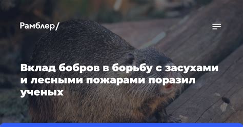 Влияние резервирования на сохранение природы