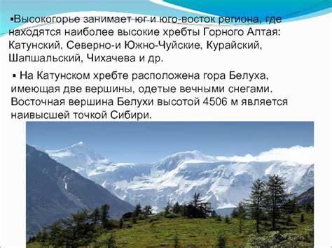 Влияние символики снов: загадочные послания хищей природы