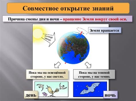 Влияние смены дня и ночи на растительный мир