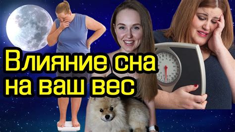 Влияние сна о карий медведе на индивидуальные отношения и личную жизнь