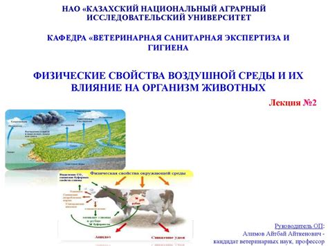 Влияние снижения лабильности корковых структур на организм