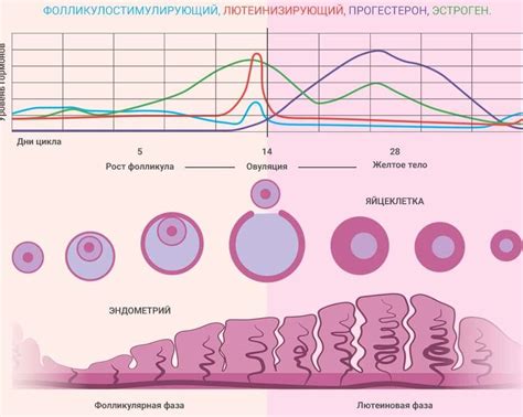 Влияние сновидений на подсознание и эмоциональное состояние женщины