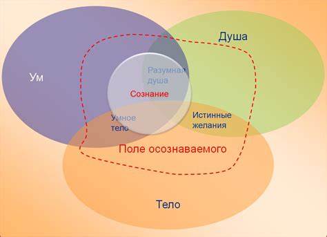 Влияние снов на подсознание: раздумья и внутренний мир