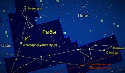 Влияние созвездия Рыбы на характер человека