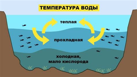 Влияние солнца и температуры на состояние воды