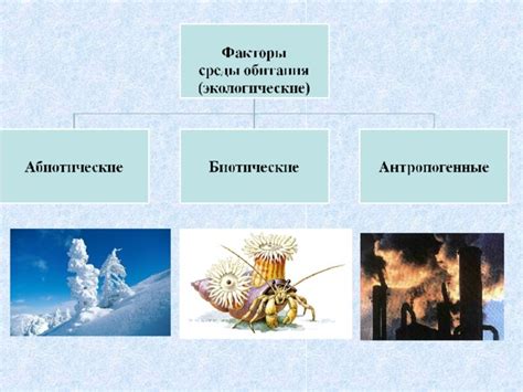 Влияние среды обитания